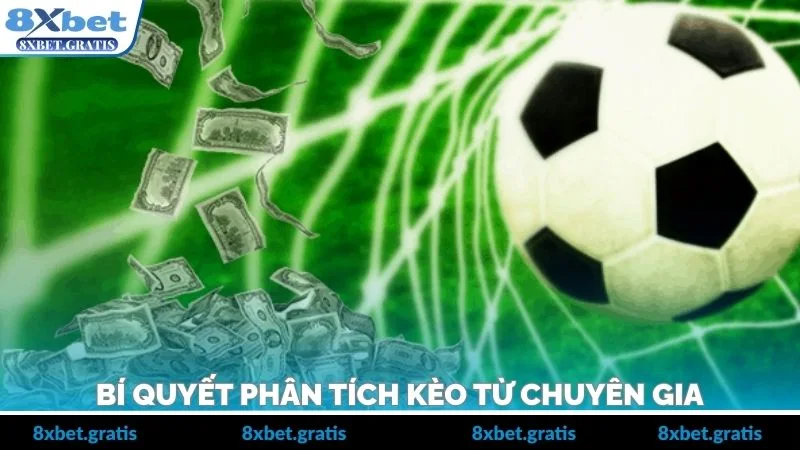 Bí quyết phân tích kèo từ chuyên gia