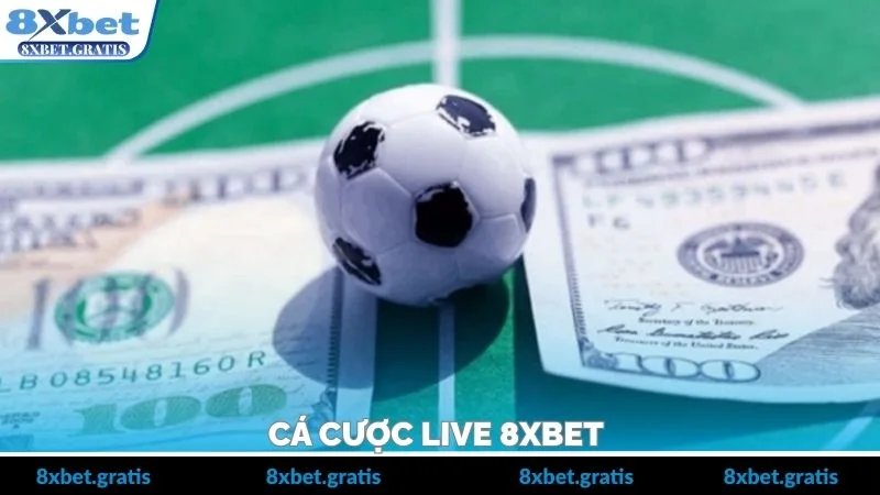 Cá Cược Live 8xbet – Bắt Kèo Trực Tiếp Linh Hoạt Từng Phút