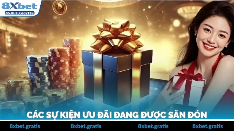 Các chương trình ưu đãi đang áp dụng theo từng nhóm