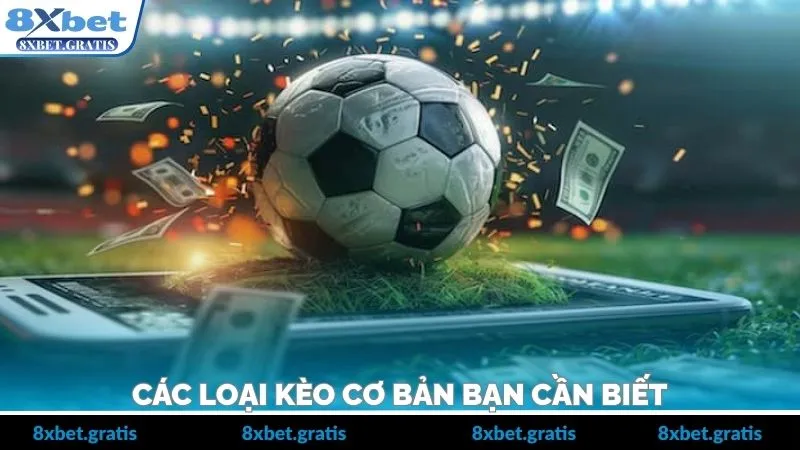 Các dạng tỷ lệ thường gặp và cách tiếp cận đơn giản