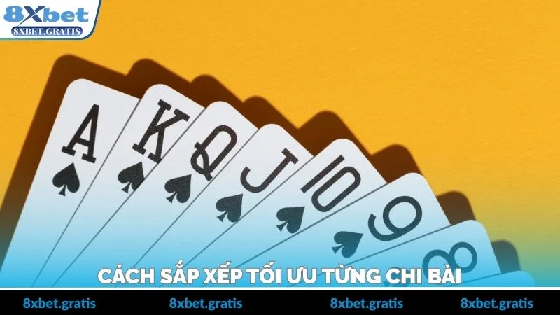Cách sắp xếp tối ưu từng chi bài