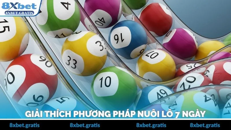 Giải thích phương pháp nuôi lô 7 ngày