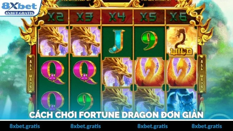 Hướng dẫn chi tiết để có thể bắt đầu dễ dàng hơn