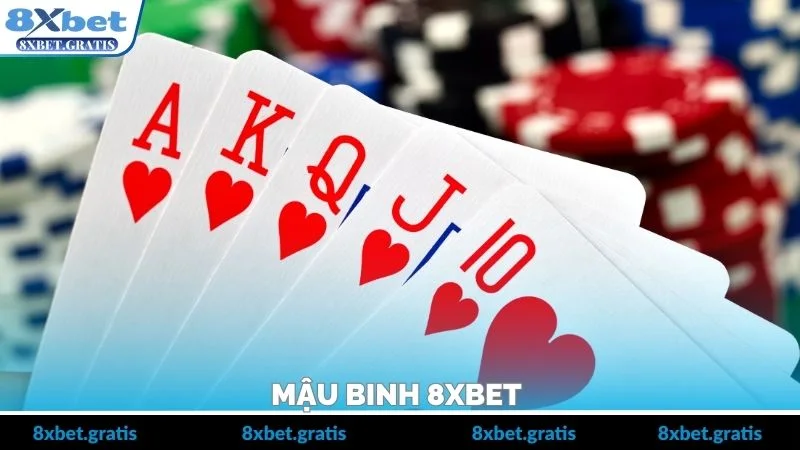Mậu Binh 8xbet – Cách Xếp Bài Chuẩn Và Mẹo Thắng Nhanh