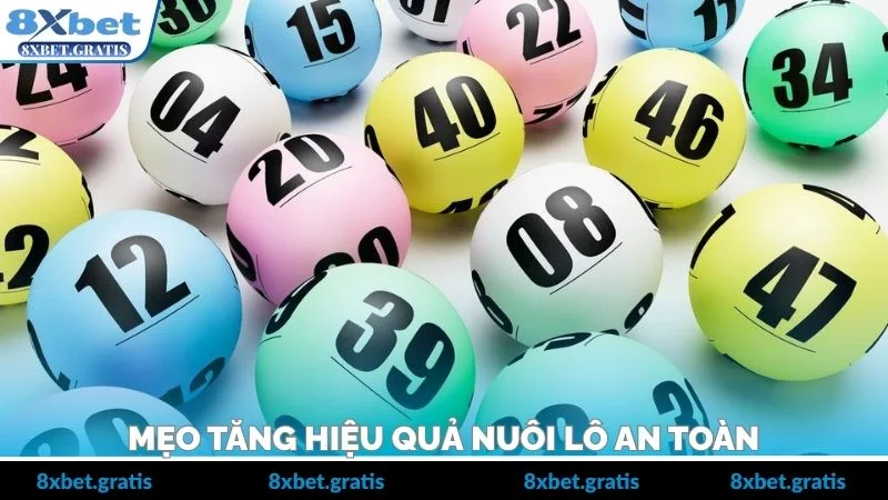 Mẹo tăng hiệu quả nuôi lô an toàn