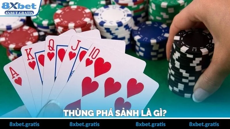 Thùng Phá Sảnh Là Gì? Hiểu Đúng, Tránh Nhầm Lẫn Khi Chơi Bài